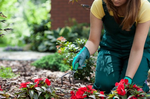 Company representative reviewing modern slavery policy documents outdoors