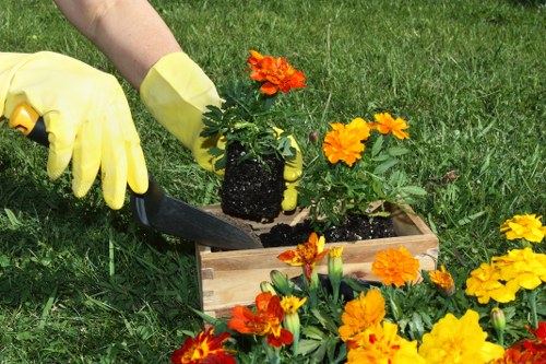 Close-up of gardeners using adaptive tools during garden maintenance