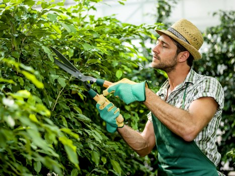 Garden operatives wearing PPE and attending a training session