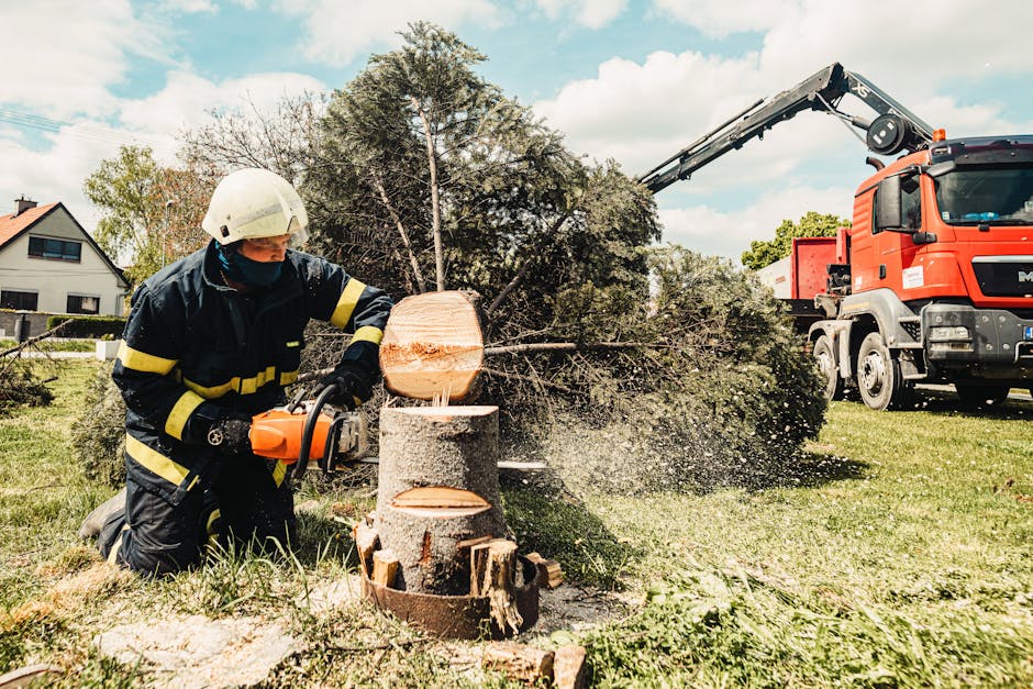 A firefighter wearing protective gear and a helmet is kneeling on the grass while cutting a large fallen tree trunk with a chainsaw. The tree, which has visible bark and green foliage, is partially cu