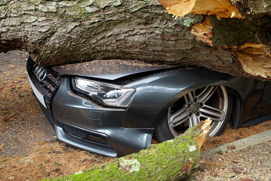 A firefighter wearing protective gear and a helmet is kneeling on the grass while cutting a large fallen tree trunk with a chainsaw. The tree, which has visible bark and green foliage, is partially cu